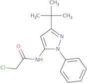 N-(3-tert-Butyl-1-phenyl-1H-pyrazol-5-yl)-2-chloroacetamide