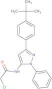 N-[3-(4-tert-Butylphenyl)-1-phenyl-1H-pyrazol-5-yl]-2-chloroacetamide