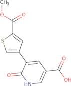 2-Hydroxymethyl-benzoic acid tert-butyl ester