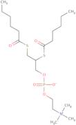 4-chloro-5-nitro-1h-indazole