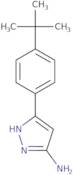 3-(4-tert-Butylphenyl)-1h-pyrazol-5-amine