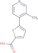 5-(3-Methylpyridin-4-yl)thiophene-2-carboxylic acid