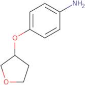 4-(Oxolan-3-yloxy)aniline