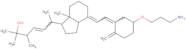 25-Hydroxy vitamin d2 3,3’-aminopropyl ether