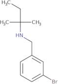 [(3-Bromophenyl)methyl](2-methylbutan-2-yl)amine