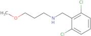 [(2,6-Dichlorophenyl)methyl](3-methoxypropyl)amine