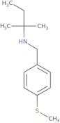 2-Methyl-N-[(4-methylsulfanylphenyl)methyl]butan-2-amine