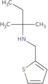 (2-Methylbutan-2-yl)(thiophen-2-ylmethyl)amine