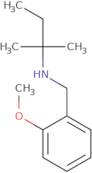 [(2-Methoxyphenyl)methyl](2-methylbutan-2-yl)amine