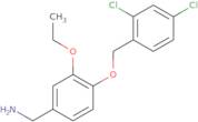 1-{4-[(2,4-Dichlorophenyl)methoxy]-3-ethoxyphenyl}methanamine