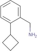 (2-Cyclobutylphenyl)methanamine