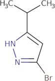 5-Bromo-3-(propan-2-yl)-1H-pyrazole