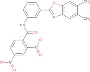 N-[3-(5,6-Dimethyl-benzooxazol-2-yl)-phenyl]-2,4-dinitro-benzamide