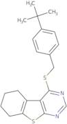 4-[(4-tert-Butylphenyl)methylsulfanyl]-5,6,7,8-tetrahydro-[1]benzothiolo[2,3-d]pyrimidine