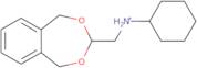 Cyclohexyl-(5,9-dihydro-6,8-dioxa-benzo-cyclohepten-7-ylmethyl)-amine