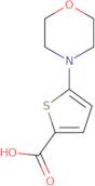 5-Morpholinothiophene-2-carboxylic acid
