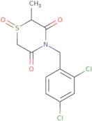 4-(2,4-Dichlorobenzyl)-2-methyl-1λ4,4-thiazinane-1,3,5-trione