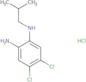 4,5-Dichloro-N1-isobutylbenzene-1,2-diaminehydrochloride