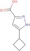5-Cyclobutyl-1H-pyrazole-3-carboxylic acid