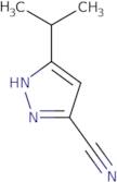 5-Propan-2-yl-1H-pyrazole-3-carbonitrile