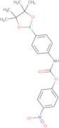 [4-(4,4,5,5-Tetramethyl-[1,3,2]dioxaborolan-2-yl)-phenyl]-carbamic acid 4-nitrophenyl ester