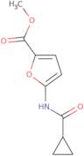 4-(Tetramethyl-1,3,2-dioxaborolan-2-yl)furan-2-carboxamide