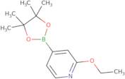 2-Ethoxypyridine-4-boronic acid pinacol ester