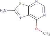 7-Methoxy-[1,3]thiazolo[5,4-d]pyrimidin-2-amine