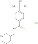 4-tert-Butyl-N-(piperidin-3-ylmethyl)-benzamide hydrochloride