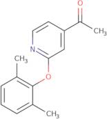 1-[2-(2,6-dimethylphenoxy)pyridin-4-yl]ethan-1-one