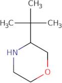 (3S)-3-tert-Butylmorpholine