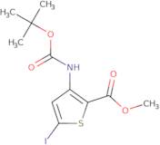 Methyl 3-{[(tert-butoxy)carbonyl]amino}-5-iodothiophene-2-carboxylate