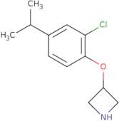 6-Methoxypyridine-2-boronic acid hydrochloride