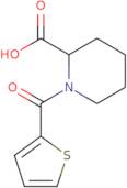 1-(Thiophene-2-carbonyl)piperidine-2-carboxylic acid