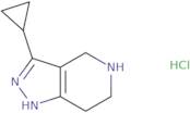 3-Cyclopropyl-4,5,6,7-tetrahydro-1H-pyrazolo[4,3-c]pyridine hydrochloride