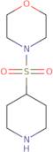 4-(Piperidine-4-sulfonyl)-morpholine