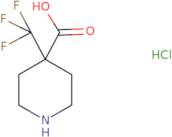 4-(Trifluoromethyl)piperidine-4-carboxylic acid hydrochloride