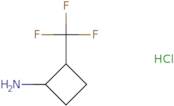 rac-(1R,2R)-2-(Trifluoromethyl)cyclobutan-1-amine hydrochloride, trans