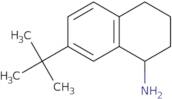 7-tert-Butyl-1,2,3,4-tetrahydronaphthalen-1-amine