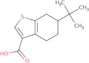 6-(tert-Butyl)-4,5,6,7-tetrahydrobenzo[b]thiophene-3-carboxylic acid