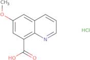 6-Methoxyquinoline-8-carboxylic acid hydrochloride