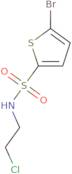 5-Bromo-thiophene-2-sulfonic acid (2-chloro-ethyl)-amide