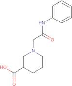 1-[(Phenylcarbamoyl)methyl]piperidine-3-carboxylic acid