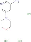 5-Morpholinopyridin-3-amine trihydrochloride