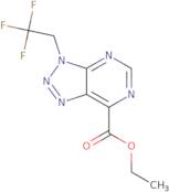 4,5-Dichloro-3-(prop-2-yn-1-yloxy)thiophene-2-carboxylic acid