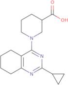 1-(2-Cyclopropyl-5,6,7,8-tetrahydroquinazolin-4-yl)piperidine-3-carboxylic acid