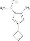 3-Cyclobutyl-1-isopropyl-1H-pyrazol-5-amine