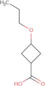 3-Propoxycyclobutane-1-carboxylic acid