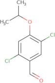 2,5-Dichloro-4-(propan-2-yloxy)benzaldehyde