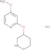 4-Methoxy-2-(piperidin-3-yloxy)pyridine hydrochloride